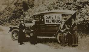 In his intimate acquaintance with nature john muir recognized and loved everything that was natural and honest, hut ms interest focused upon the things which represented the most splendid expressions of creative power. Odd Old News Women Save The Redwoods Redheaded Blackbelt