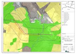 Image result for Bergia pentheriana