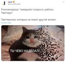 Напомним, роскомнадзор сообщил, что twitter с 2017 года не удалил 2862 материала с запрещённой информацией. W7ilnlbjadsuom