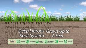 Maybe you would like to learn more about one of these? Rtf Water Saver Youtube