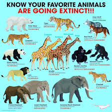 Pin On Animal Pic