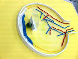Cips paketlerinden güneş fırını cips paketlerinin parlak yüzeylerini kullanarak yapılmış bir güneş fırını(ocağı) görmektesiniz. Goz Modeli