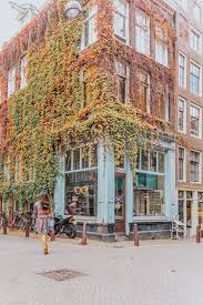 11 Local Travel Tips For Amsterdam Local Travel Amsterdam Travel Amsterdam
