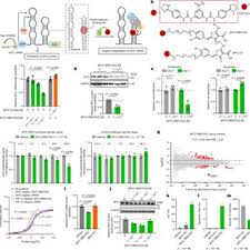 Tristan Wegner's research works