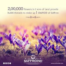 Pin On Saffroind