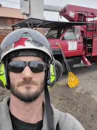 Recommendations for local tree removal expert?