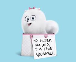 Anda bisa langsung membaca sinopsis: The Secret Life Of Pets 2