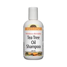 Buy Holista Tea Tree Oil Shampoo At Well Ca Free Shipping 35 In Canada
