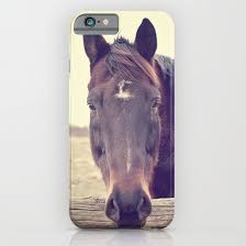 Hello Horse Iphone Ipod Case By Laura Ruth Worldwide Shipping Available At Society6 Com Just One Of Milli Iphone Phone Cases Cute Phone Cases Iphone Cases