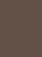 Umber 635147 Hex Color