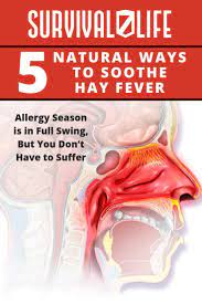 5 Natural Ways To Soothe Hay Fever Hay Fever Home Remedies For Allergies Hayfever Remedies