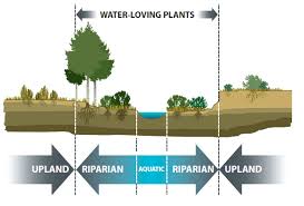 2019 Calgary River Valleys Riverbank Makeover Project Follow Up Survey