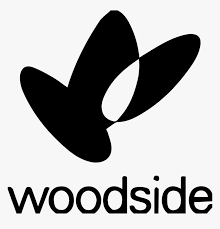 He is an actor and director, known for lucifer (2016), 24 (2001) and romeo must die (2000). Australian Oil Group Petroleum Woodside Illustration Hd Png Download Transparent Png Image Pngitem