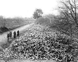 La seconde bataille de la marne eut lieu du 15 au 18 juillet 1918. Bataille De La Marne 195 000 Morts Et La Boucherie Durera Quatre Ans L Humanite