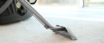 Carpet cleaning in portland or will blow you away if you choose coit. Absolute Carpet Cleaning Portland Hillsboro Beaverton Or Residential Commercial Carpet Cleaning Odor Removal