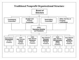 Nonprofit Organizational Structure Hurwit Associates