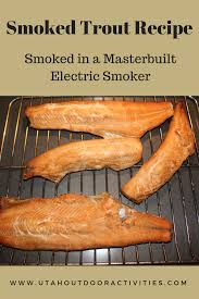 Delicious Smoked Trout Cooked In A Masterbuilt Electric Smoker Smoked Trout Smoked Fish Recipe Trout Recipes