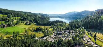 Walk or use the local buses. Camping Bankenhof Hinterzarten Am Titisee