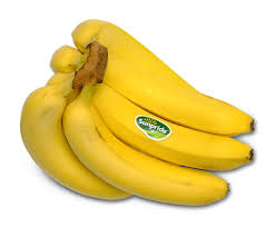 Tanam pisang terbalik vs tanam pisang biasa apa yang ingin di buktikan #tanaman#pisang#terbalik tag, cara supaya. Pisang Cavendish Sunpride Indonesia