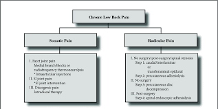 Image result for Low Back Pain Management