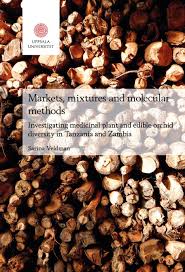 Image result for Platycoryne crocea