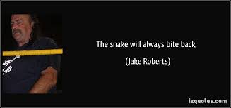 Snake Quotes. QuotesGram via Relatably.com
