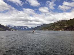 Is It Safe To Go To The Pool Lake Or Beach During Coronavirus What We Know Cnet