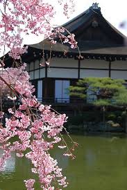 Pin On Japan