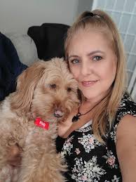 Lilly the golden doodle- Journey of a therapy dog.