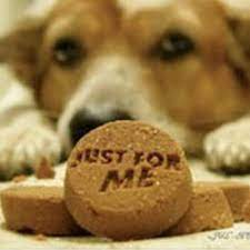 Butternut Squash Dog Treats Dog Treat Toys Healthy Dogs Dog Treat Recipes