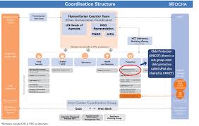 specific unicef organizational chart 2019