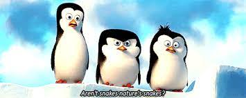 See, rate and share the best penguins of madagascar memes, gifs and funny pics. Penguins Of Madagascar Gif Google Search Penguins Of Madagascar Penguins Dreamworks Animation