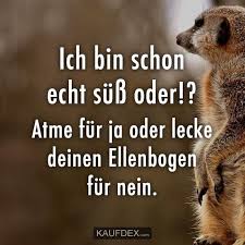 Da hat sch jemand gedanken und mühe gemacht. Pin Auf Lustige Zitate