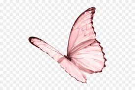 Green arrow with shadows and red flame inset. Butterfly Png Pic White Butterfly No Background Free Transparent Png Clipart Images Download