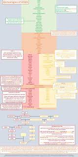 Chart I Drew Up Of Jesus Genealogy From Matthew And Luke To Help Me Study Bible Reading Journal Book Of Matthew Bible Curriculum
