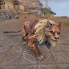 See full list on guides.gamepressure.com Https Encrypted Tbn0 Gstatic Com Images Q Tbn And9gcqlw5n9inye2joydzs8ig0hmtmvj9zdcp4vgig3voy Usqp Cau