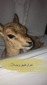 pinterest cute love images girly images hipster wallpaper