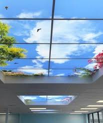 Are decorative light covers a good solution for a professional setting? Sky Ceiling Fluorescent Light Covers Skyview 9 Balloon Fest Lighting Accessories Lighting Ceiling Fans