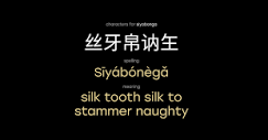 Meaning of name Siyabonga in Chinese | Laoshi