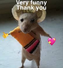 You're not sure how to show them how much you appreciate their these awesome memes will give you humorous ideas of images to share with the ones you love and care about. Very Funny Thank You Memes Video Gifs Thank Memes You Memes Very Memes Much Memes It Memes Is Memes Always Memes Appreciated Memes Funny Memes Wow Memes