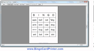 Create your own bingo cards, and print unique copies for an entire class. 4x4 Bingo Card Maker Software How To Create Bingo Cards Using Bingocardprinter Com Youtube
