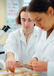 Highlights 2022 by Menzies Institute for Medical Research