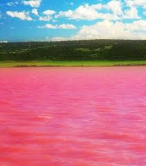 Pink Lake Hillier Goldfields Esperance Australia Breathtaking Places Cool Places To Visit Lake Hillier