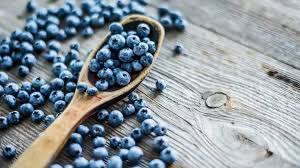 In freier natur wachsen sie vornehmlich an niedrigen. Die Blauen Powerfruchte Heidelbeeren Antenne Brandenburg