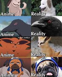 Anime X Reality Naruto Funny Naruto Memes Naruto