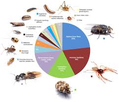 Arthropods Of The Great Indoors Characterizing Diversity
