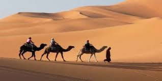 Morocco camel trekking in merzouga desert, spend the night in a desert camp with berber drums music under starry sky in the middle of the sahara. Overnight Camel Trek Over Merzouga Amazing And Best 1 Night Camel Trekking In Merzouga