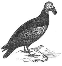 With easy stories in english, you can learn english the natural way, without studying lists of welcome to easy stories in english, the podcast that will take your english from ok to good, and. Sup Wiktionary