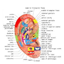 what is auricular acupuncture longevity acupuncture