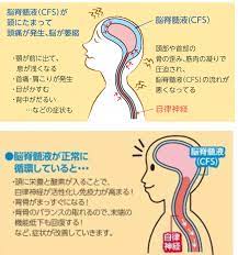 自力整形で小顔と自由を手に入れるオンライン起業相談会 小顔マジシャン 健康 リンパマッサージ ヘルスフィットネス
